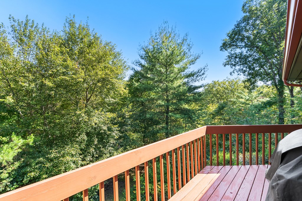 419252 Mineral Bluff Residential