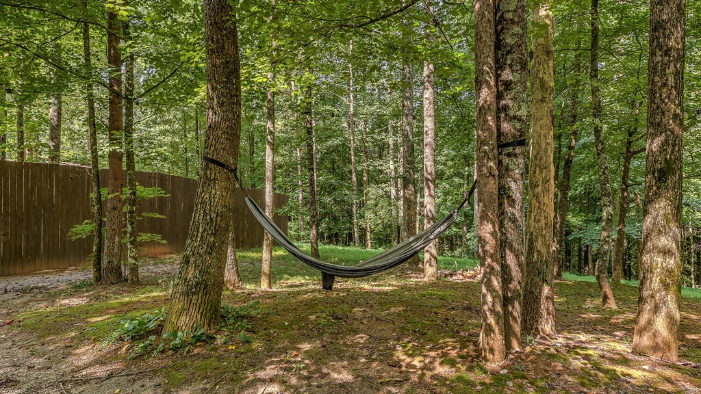 419261 Ellijay Residential