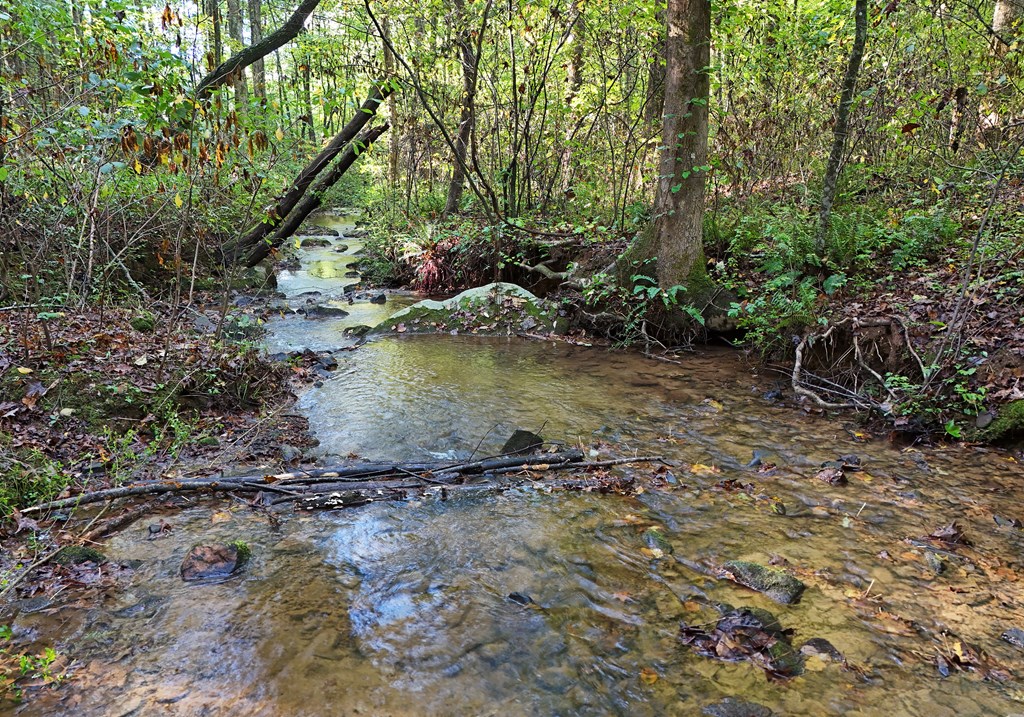 419261 Ellijay Residential