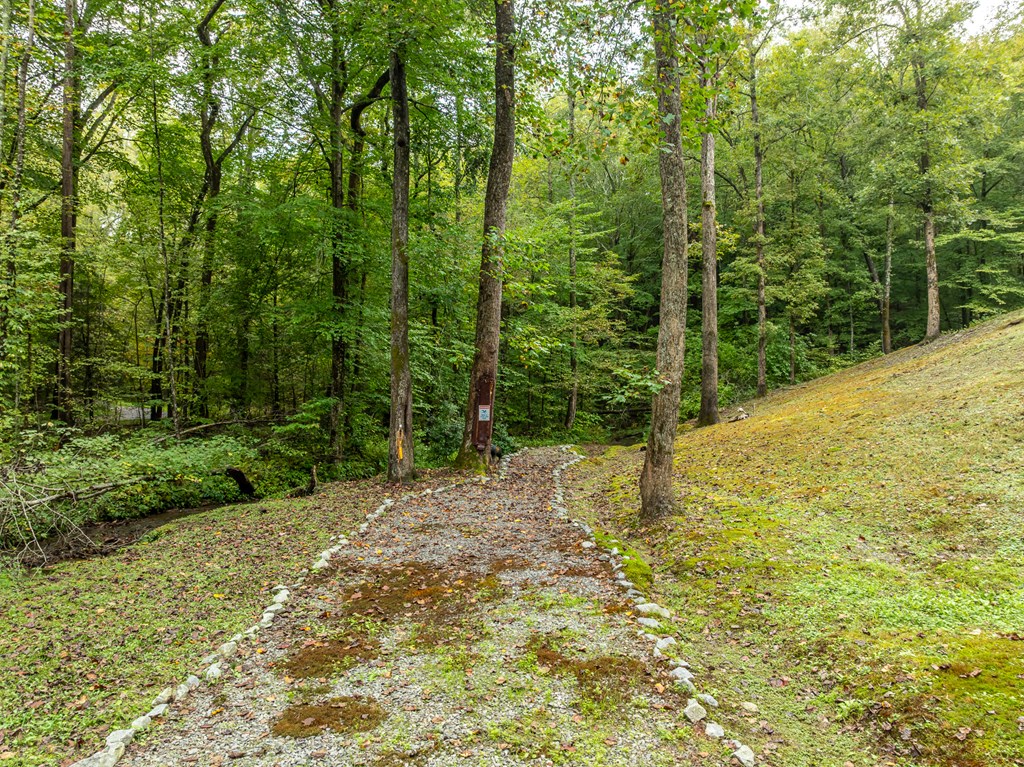 419262 Ellijay Residential
