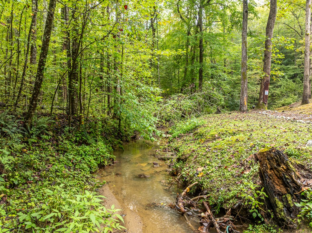 419262 Ellijay Residential