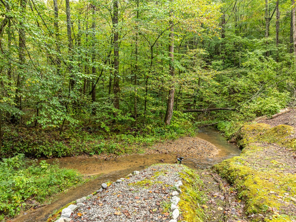 419262 Ellijay Residential