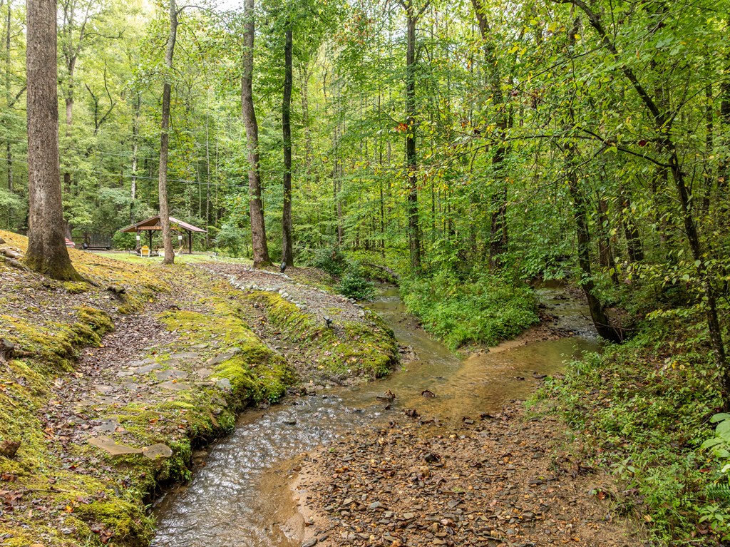 419262 Ellijay Residential