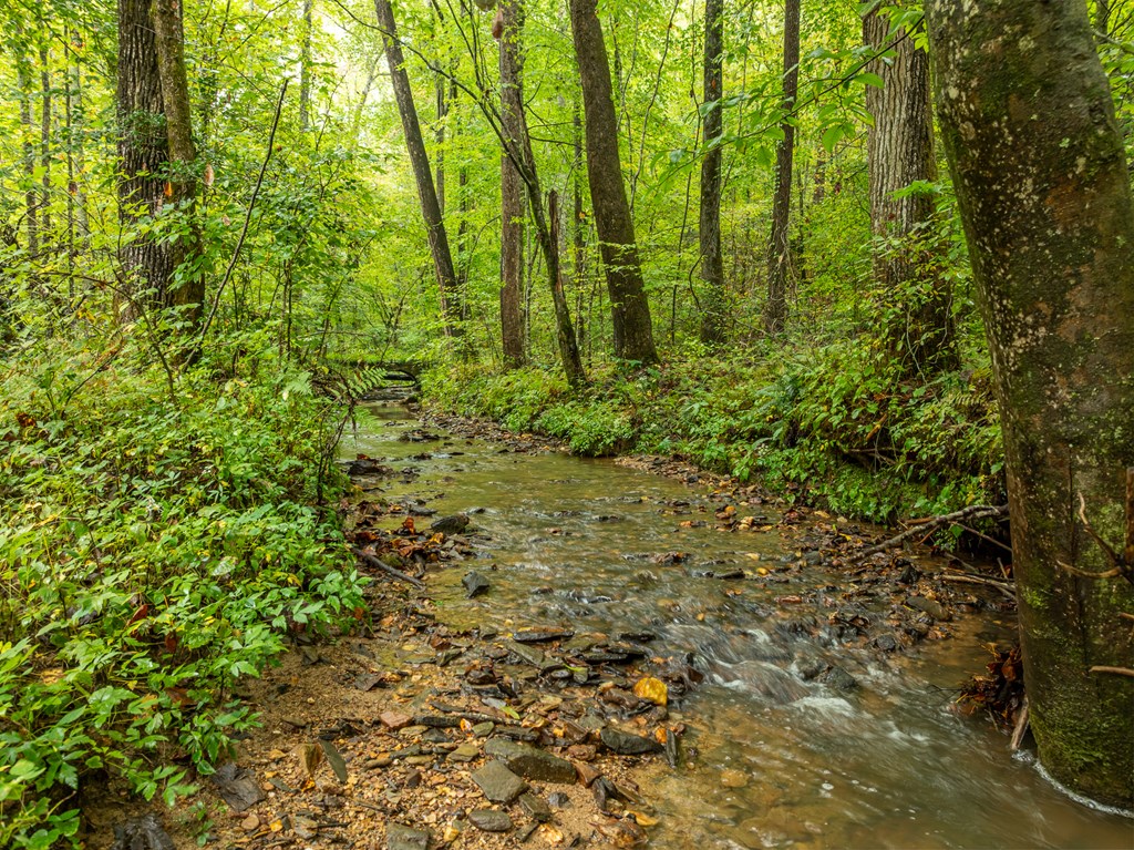 419262 Ellijay Residential