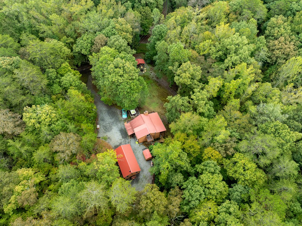 419262 Ellijay Residential