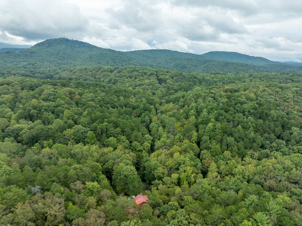 419262 Ellijay Residential