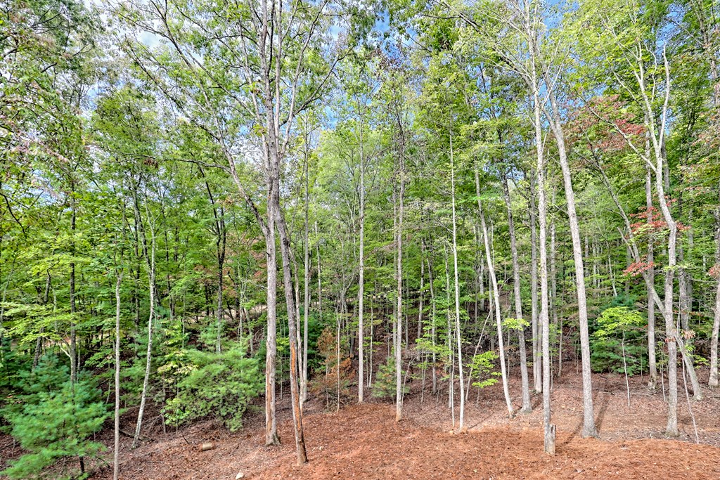 419284 Morganton Residential
