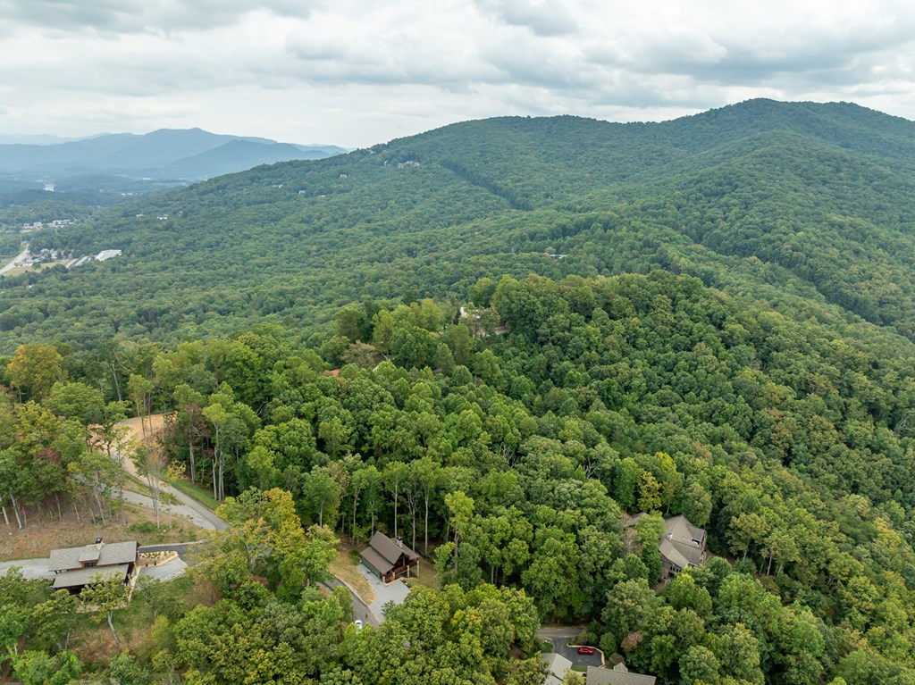 419290 Young Harris Residential