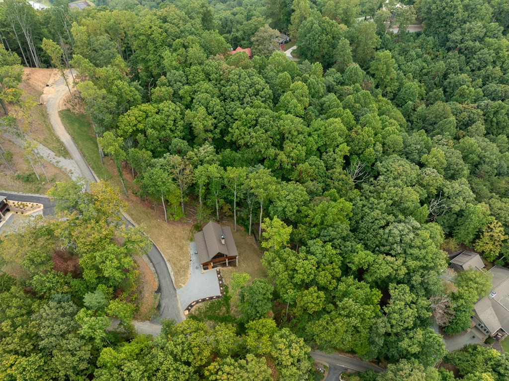 419290 Young Harris Residential