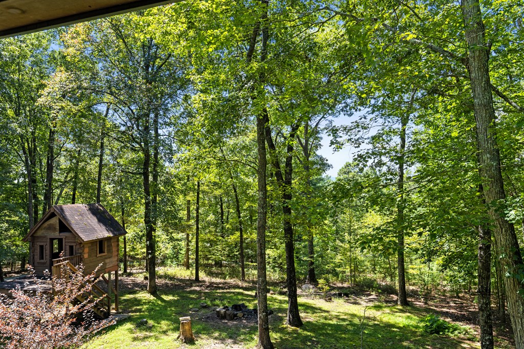419293 Morganton Residential