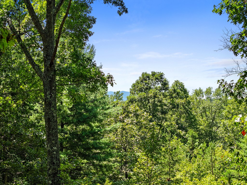 419293 Morganton Residential