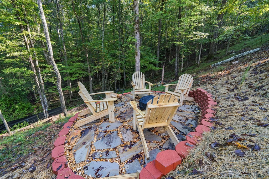 419296 Ellijay Residential