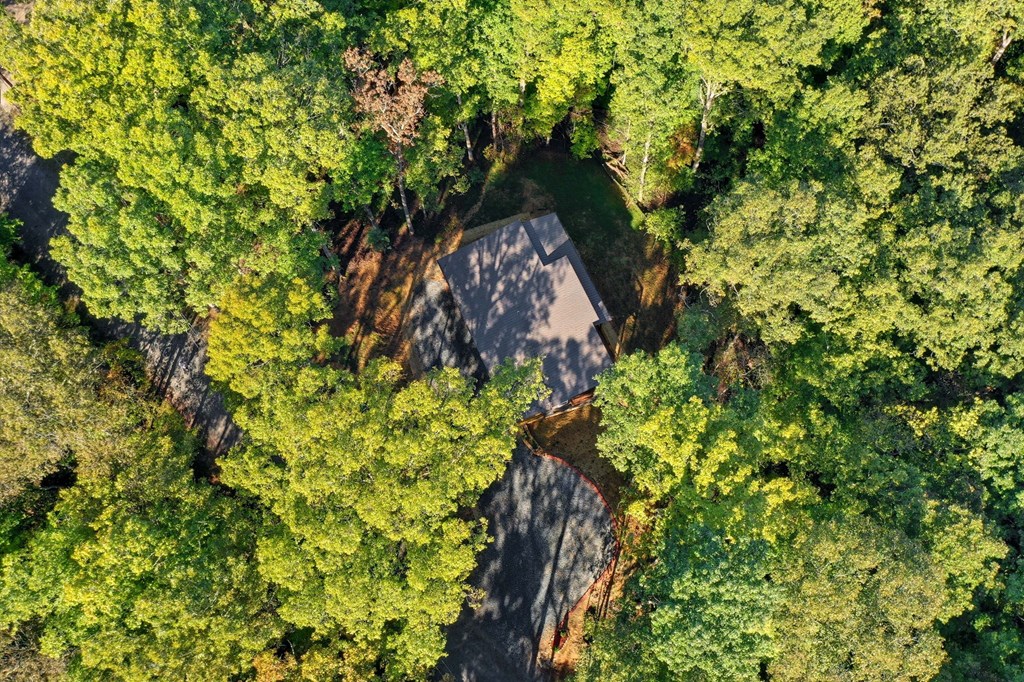 419296 Ellijay Residential