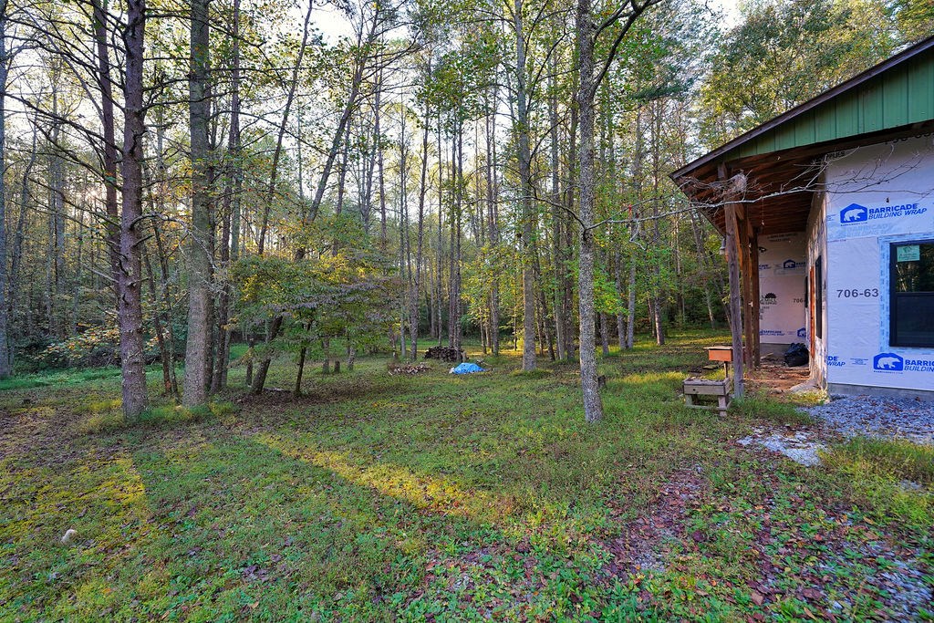 419300 Ellijay Residential