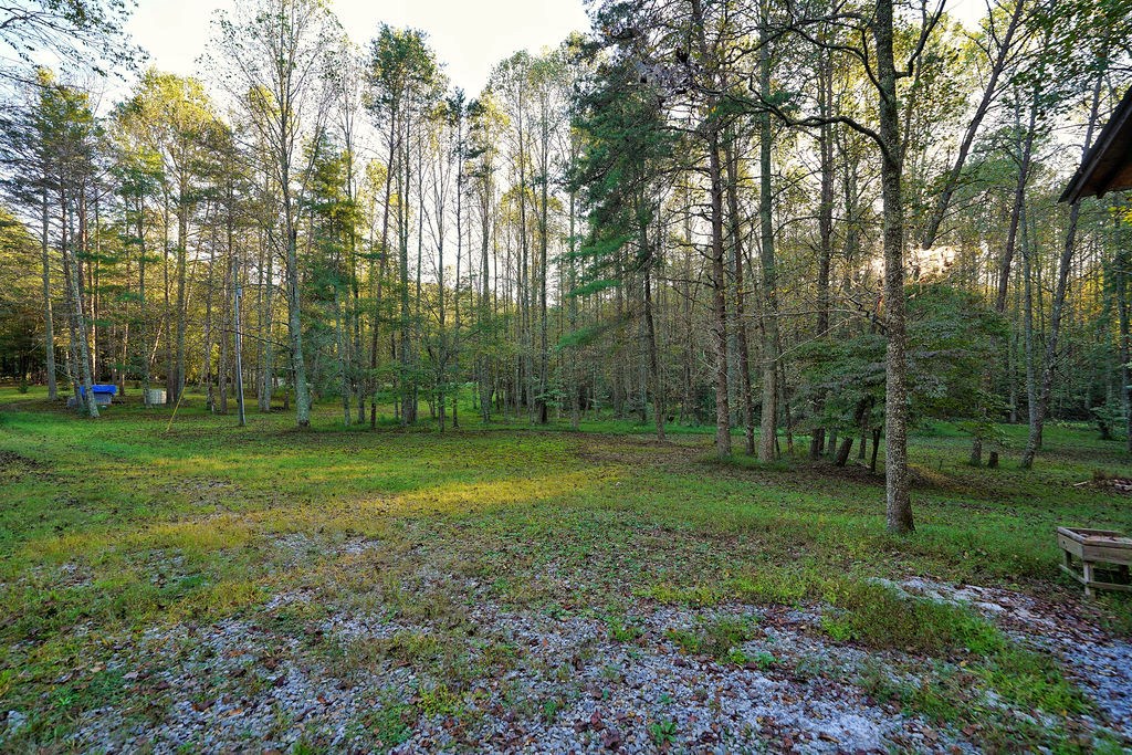 419300 Ellijay Residential