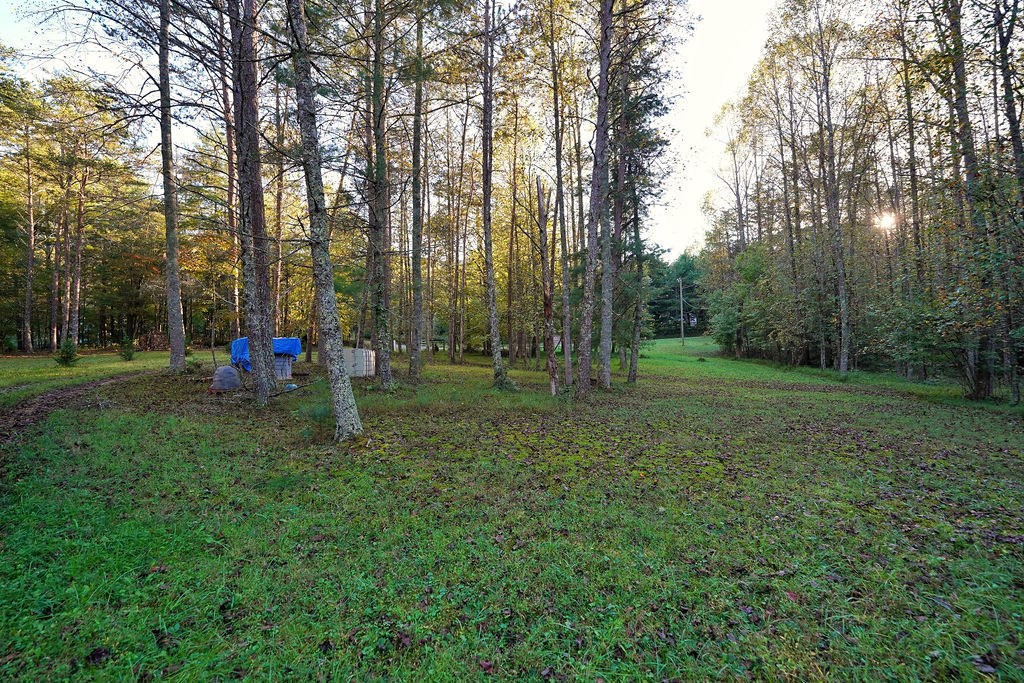 419300 Ellijay Residential