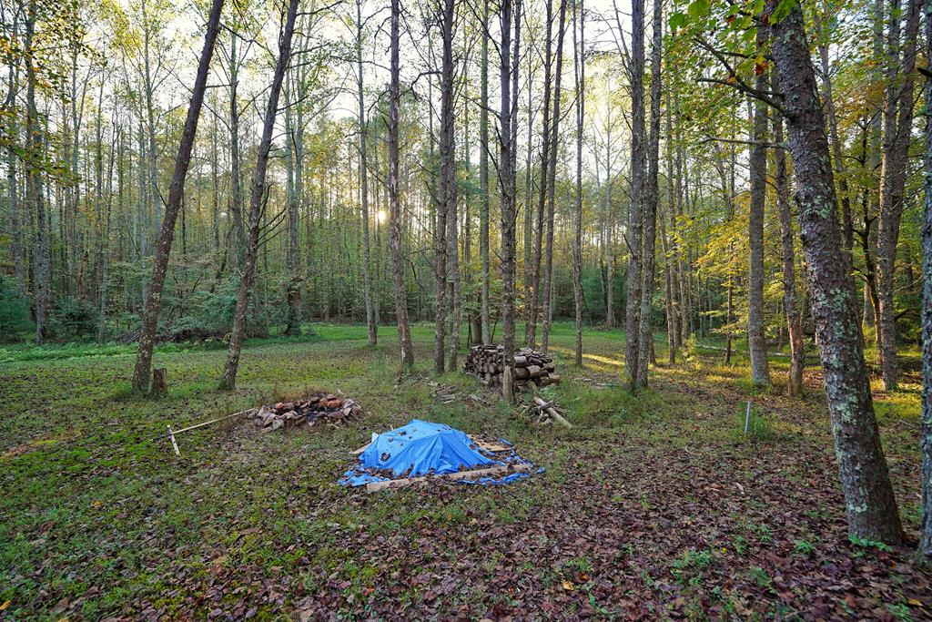 419300 Ellijay Residential