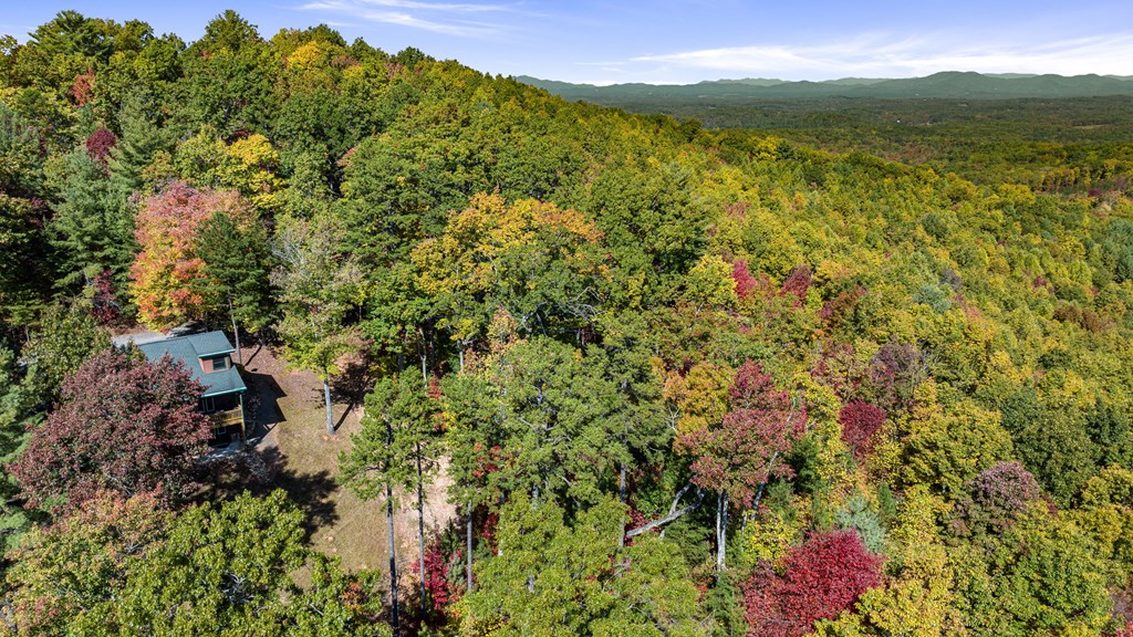 419325 Blue Ridge Residential