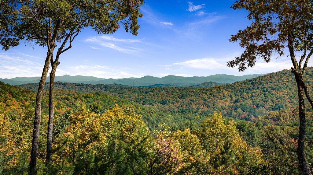 419325 Blue Ridge Residential