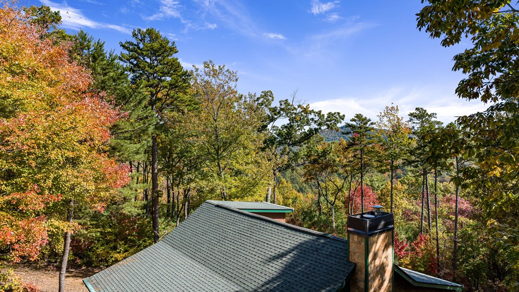 419325 Blue Ridge Residential