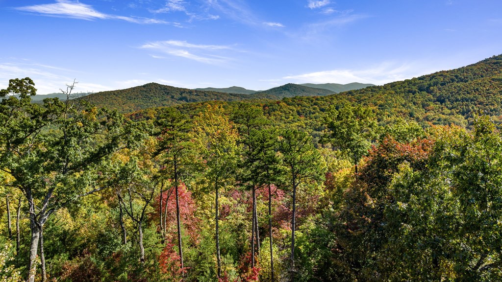 419325 Blue Ridge Residential
