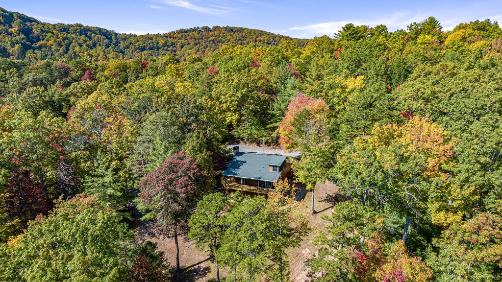 419325 Blue Ridge Residential