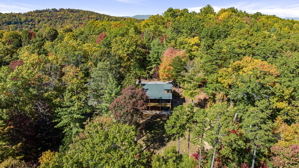 419325 Blue Ridge Residential