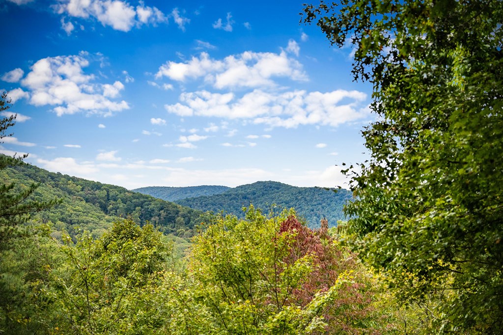 419329 Blue Ridge Residential