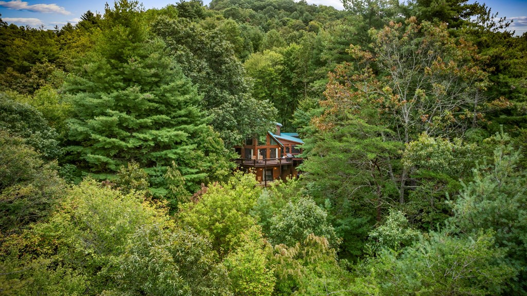 419329 Blue Ridge Residential