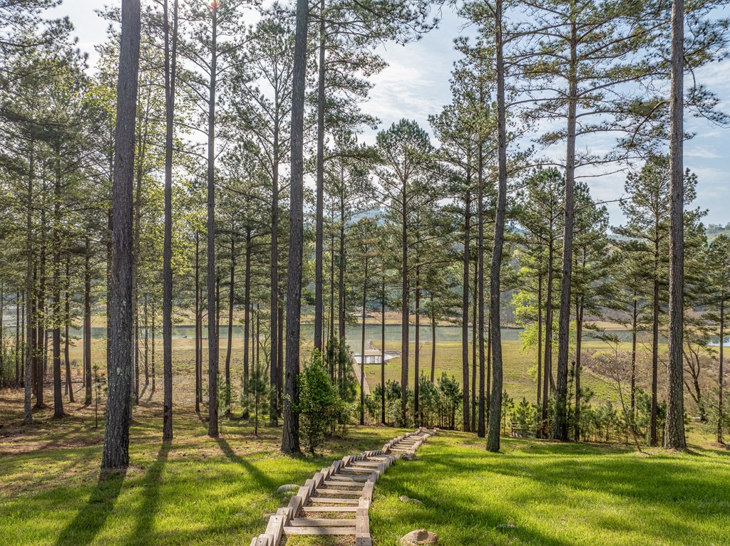419337 Blairsville Residential