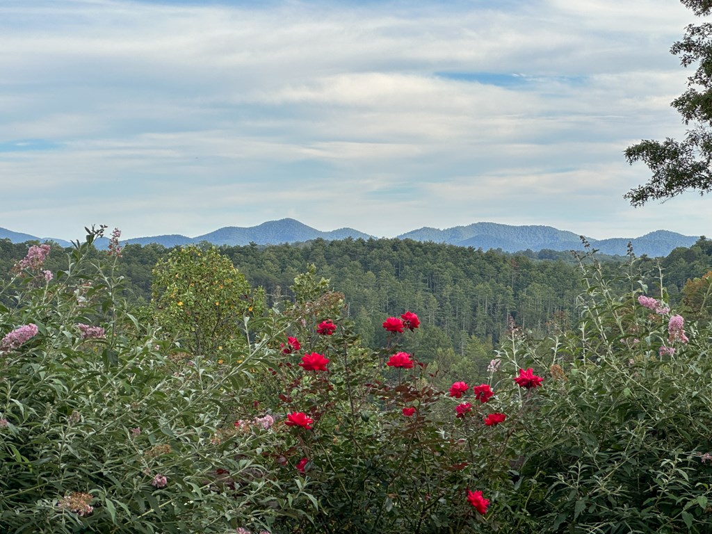 419343 Mineral Bluff Residential