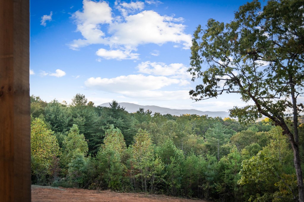 419355 Blue Ridge Residential