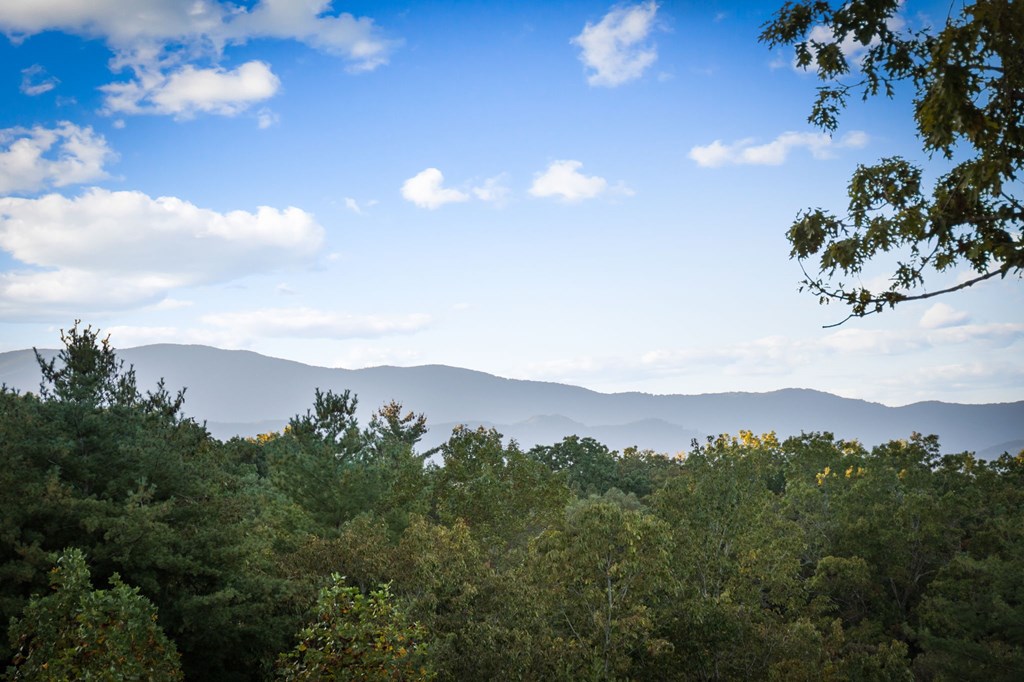 419355 Blue Ridge Residential