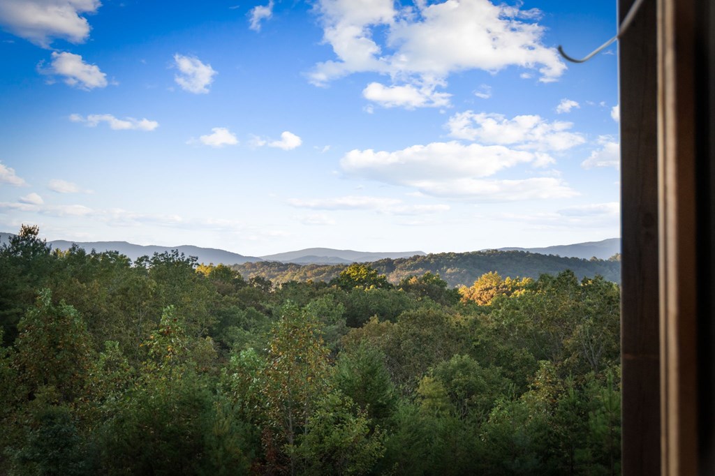 419355 Blue Ridge Residential