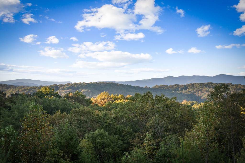 419355 Blue Ridge Residential
