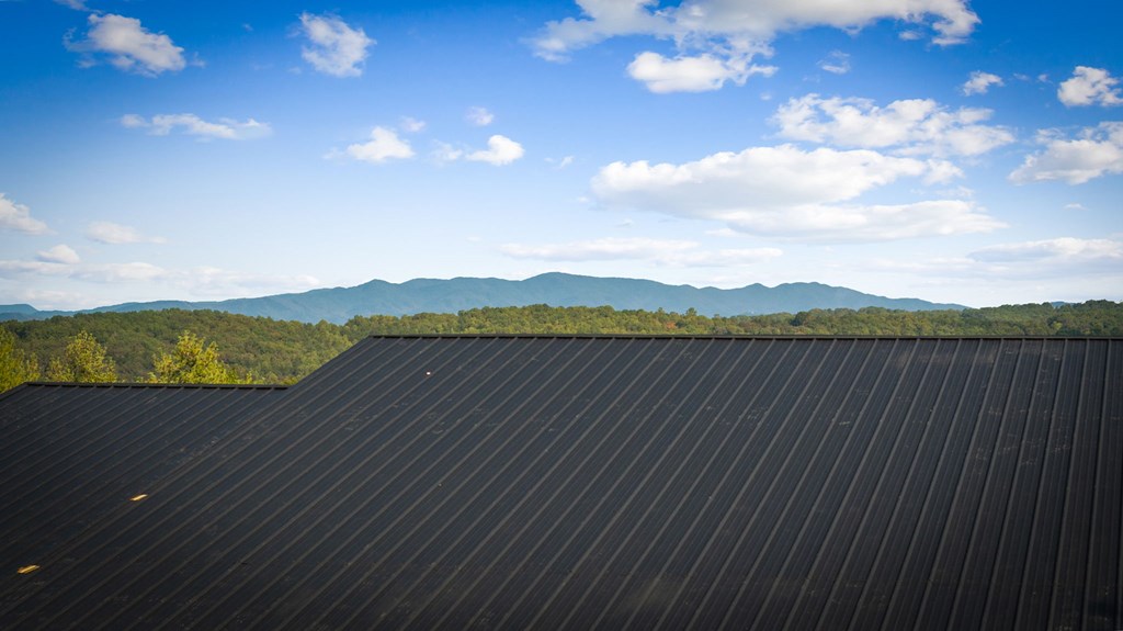 419356 Blue Ridge Residential