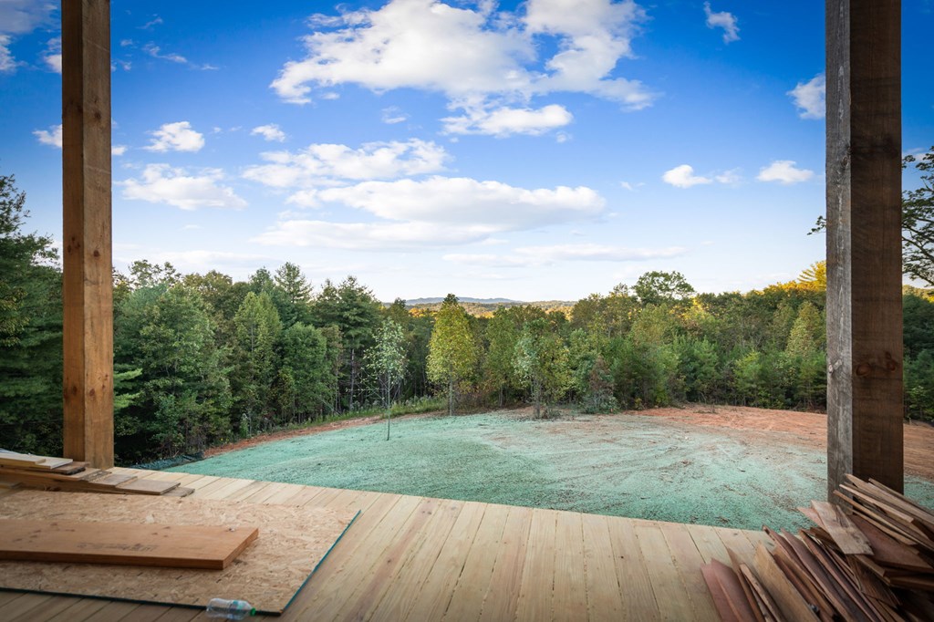 419356 Blue Ridge Residential