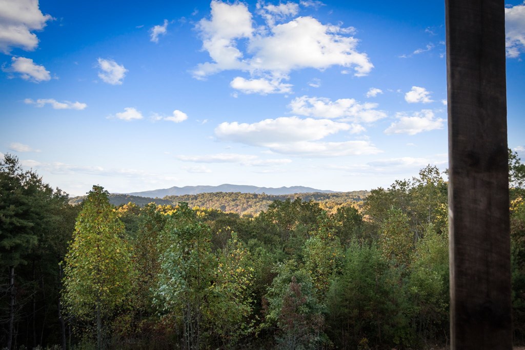419356 Blue Ridge Residential