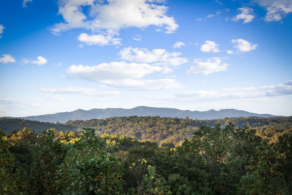 419356 Blue Ridge Residential