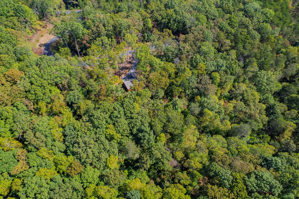 419377 Cherry Log Residential