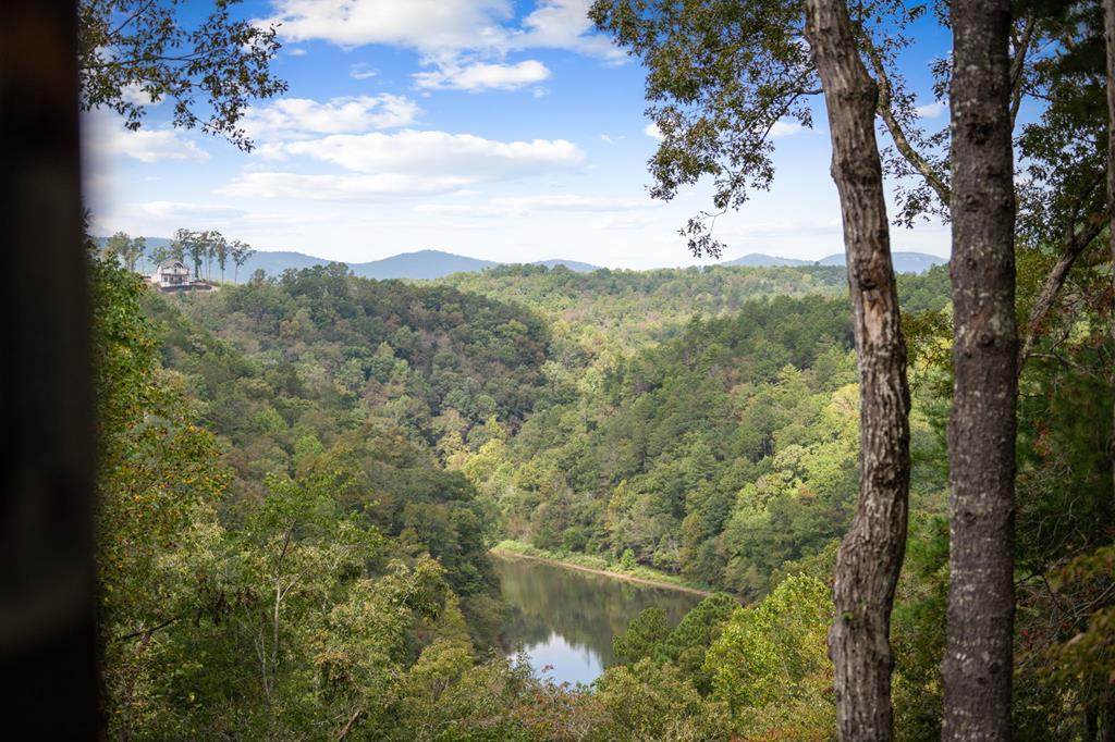 419391 Ellijay Residential