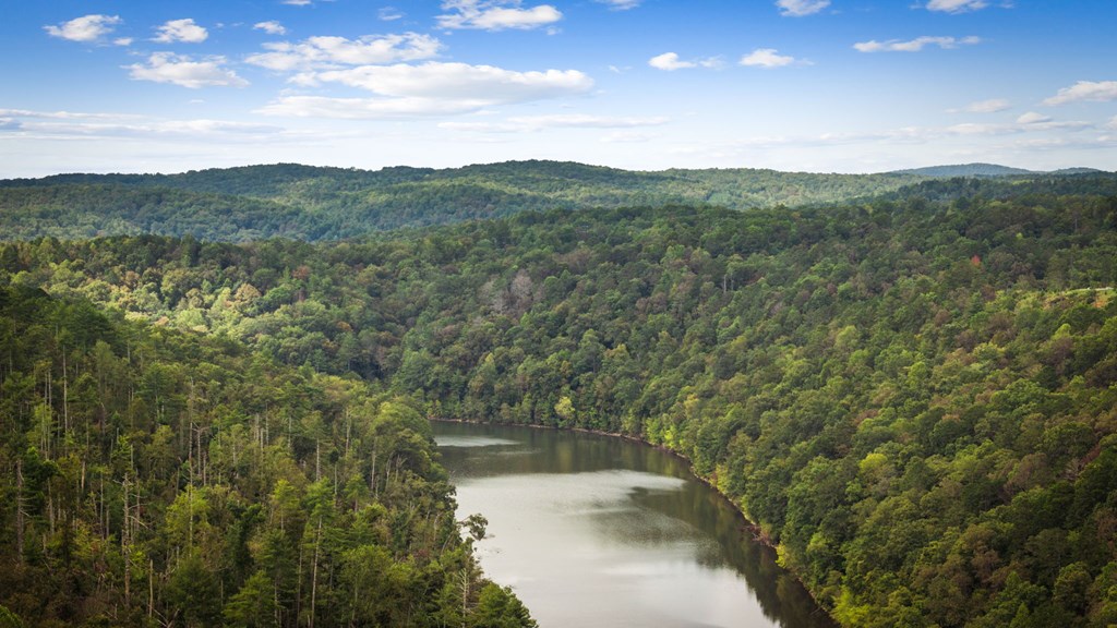 419391 Ellijay Residential
