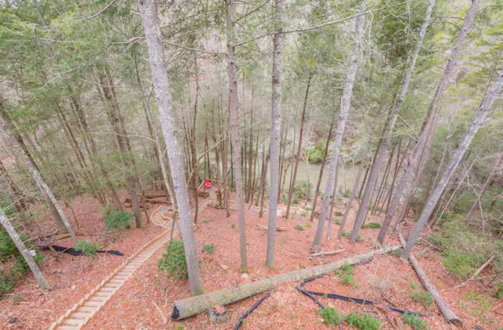 419424 Ellijay Residential