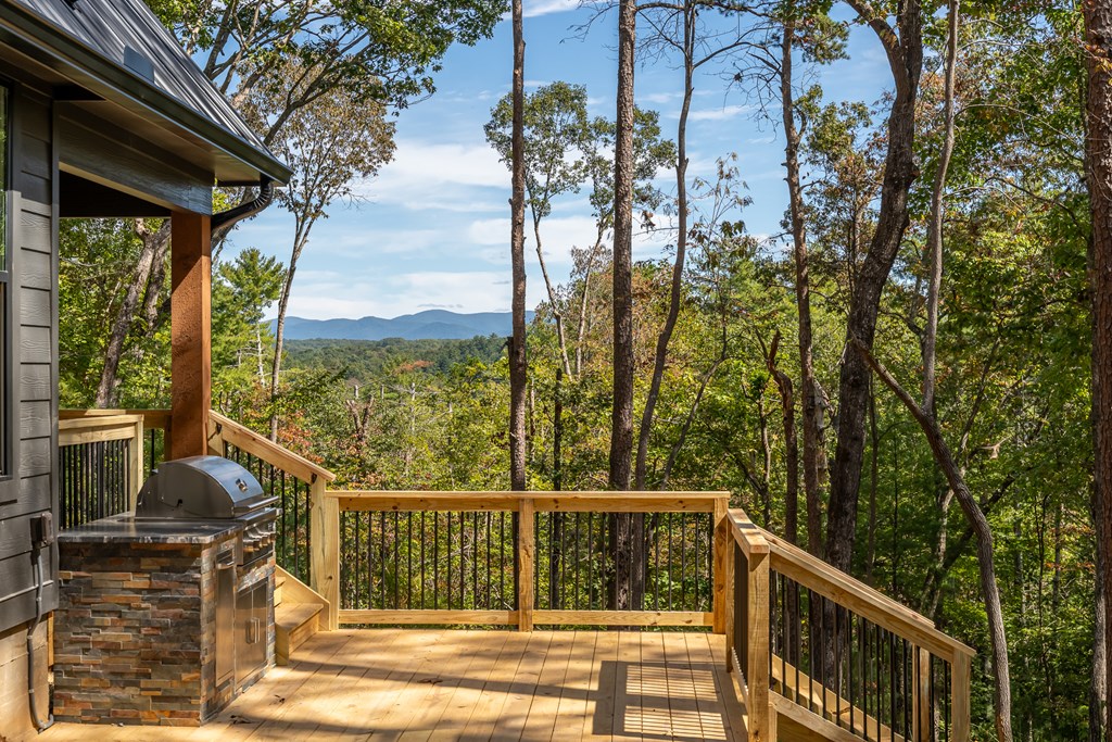 419429 Ellijay Residential
