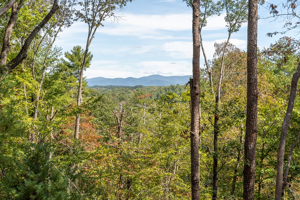 419429 Ellijay Residential