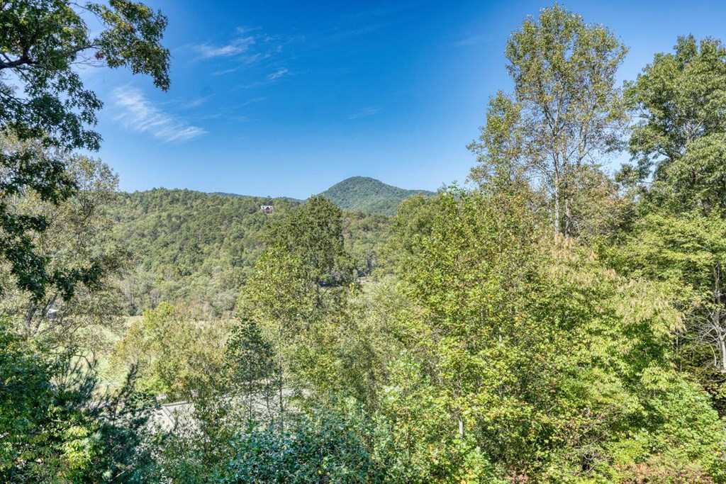 419450 Hiawassee Residential