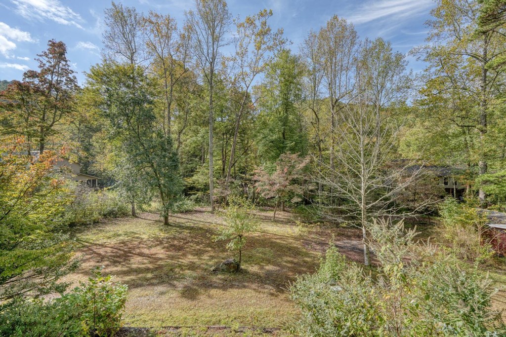 419462 Hiawassee Residential