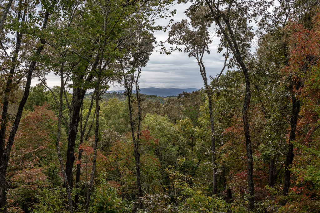 419463 Mineral Bluff Residential