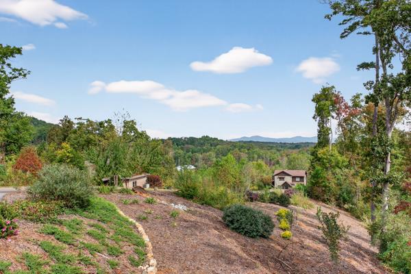 419475 Blue Ridge Residential