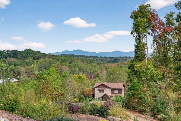 419475 Blue Ridge Residential